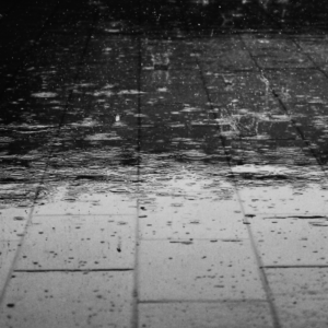 black and white photo of rain falling on brick road