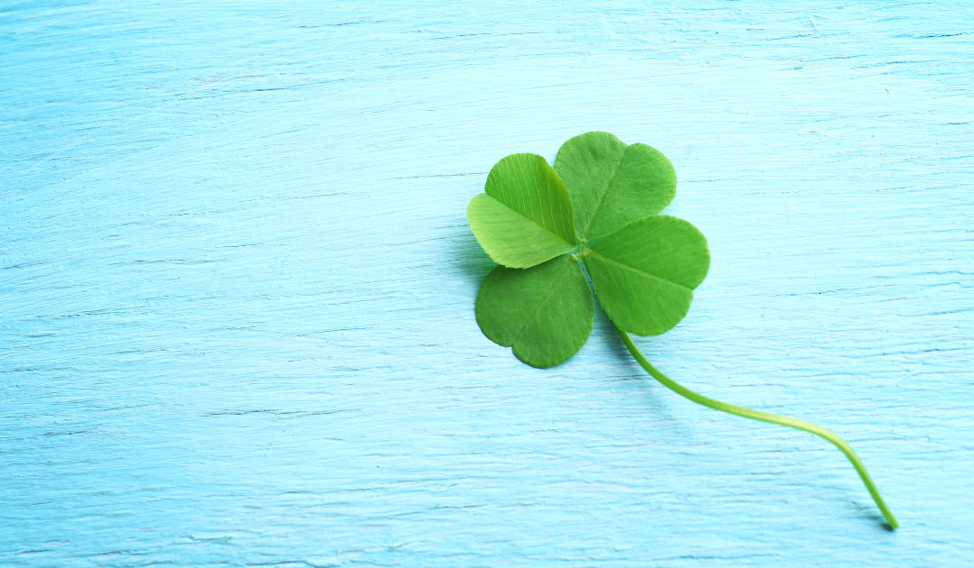 a bright green four leaf clover on a blue background