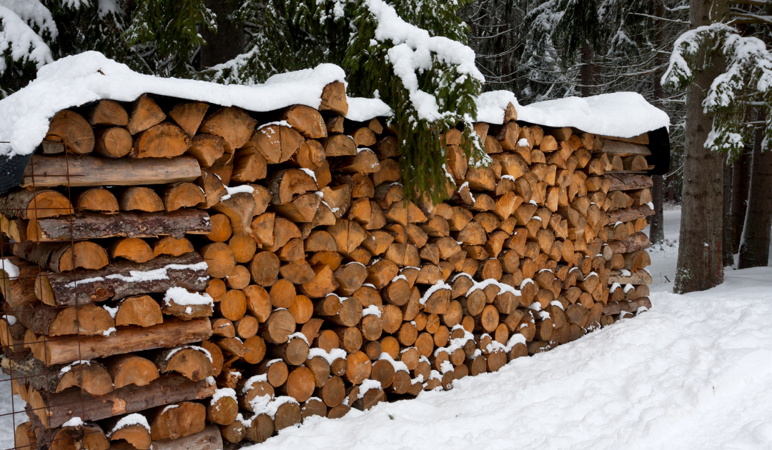 a large pile of wood logs stored outside with snow piled on top of the stack